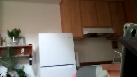 salis1981 online show from 10/13/25, 09:15