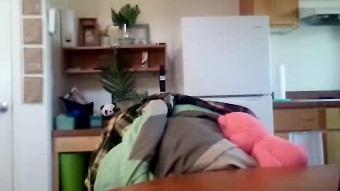 salis1981 online show from 10/16/25, 06:31