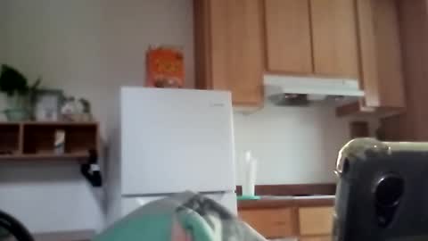 salis1981 online show from 12/17/25, 11:55