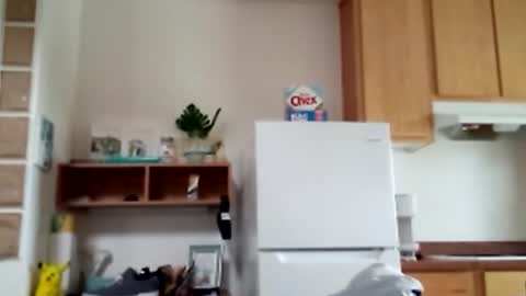 salis1981 online show from 02/09/26, 08:46