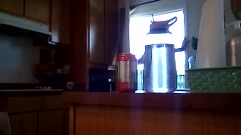 salis1981 online show from 02/12/26, 07:09