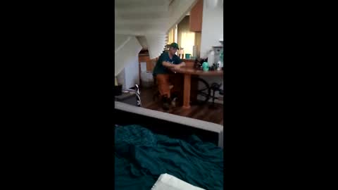 salis1981 online show from 03/17/26, 11:08