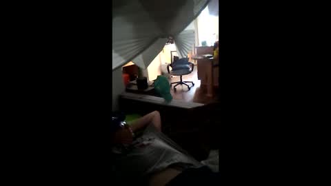 salis1981 online show from 03/21/26, 11:30