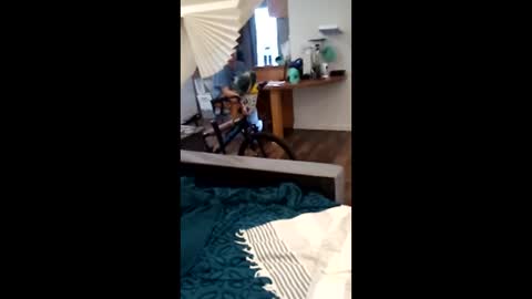 salis1981 online show from 04/02/26, 12:30