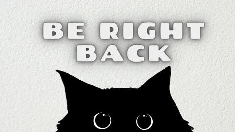 Salome online show from 04/01/26, 02:56