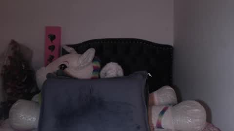 Snapshot of salomefox2 chatting on 02/07/25, 07:40 yenny online show from 02/07/25, 07:40