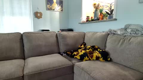 Snapshot of saltycaptain69_hatgirl69 chatting on 09/19/25, 09:37 Salty Captain 69 Hat Girl 69 online show from 09/19/25, 09:37