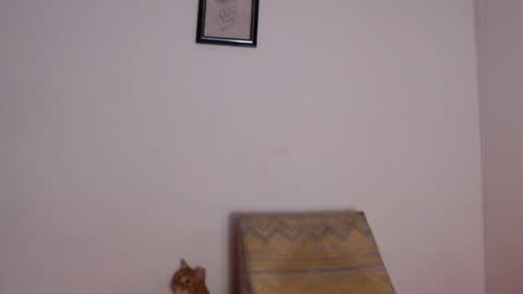 salvatore_amator online show from 04/26/26, 02:04