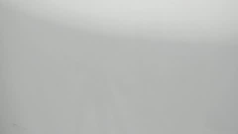 SALVATORE online show from 01/29/25, 11:09