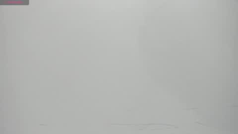 SALVATORE online show from 02/14/25, 11:10