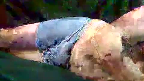 Snapshot of sam5554401727 chatting on 11/10/25, 06:40 sam5554401727 online show from 11/10/25, 06:40