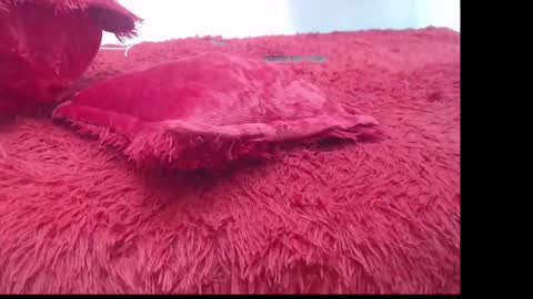 samael_leviatan online show from 03/08/25, 05:01