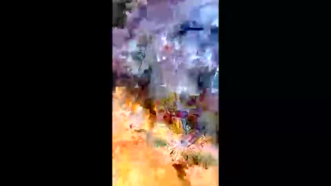 sameroptike67 online show from 04/20/26, 12:35