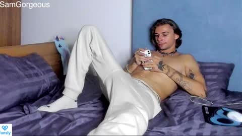 Snapshot of samgorgeous chatting on 12/06/24, 07:34 Fansly - Top4fans online show from 12/06/24, 07:34