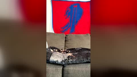 Playful Sammie online show from 06/01/26, 10:00