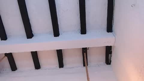 Sammy  online show from 02/20/26, 02:30