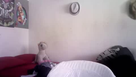 sammy_mcklain online show from 03/01/26, 03:36