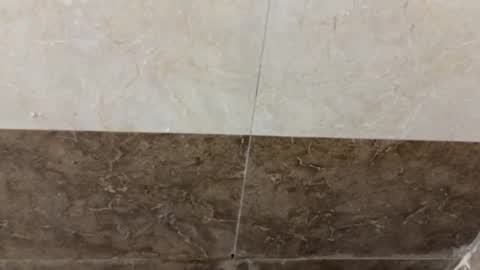 samnivin online show from 11/01/25, 05:04