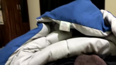 samnivin online show from 12/01/25, 07:19