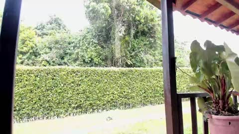 Samuel online show from 12/12/24, 06:42