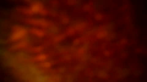 samueltal online show from 09/22/25, 09:50