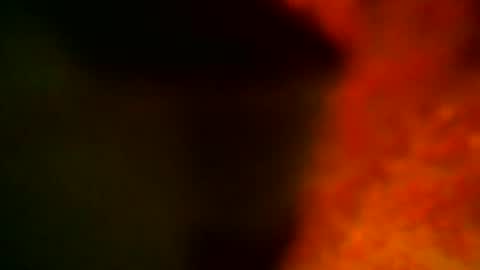 samueltal online show from 10/14/25, 09:15