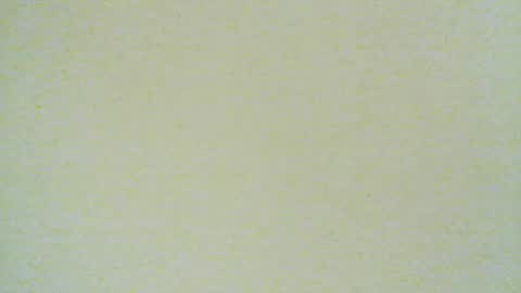 santiagodeamor7077 online show from 08/04/26, 04:15