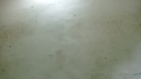 santichai561323 online show from 02/24/25, 02:51