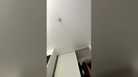 The toy online show from 03/26/26, 02:55