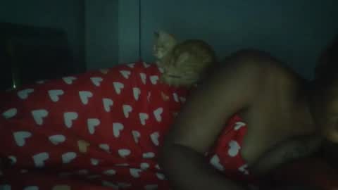 Snapshot of sapgaal chatting on 01/17/26, 02:49 sapgaal online show from 01/17/26, 02:49