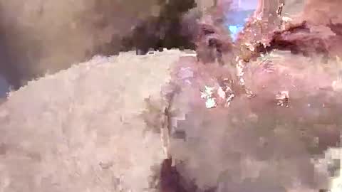 Snapshot of sappyhaha chatting on 11/12/25, 11:21 sappyhaha online show from 11/12/25, 11:21