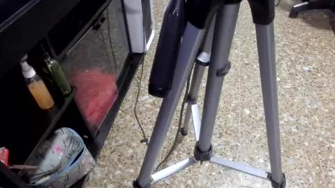 sara_salgado online show from 02/11/26, 11:04