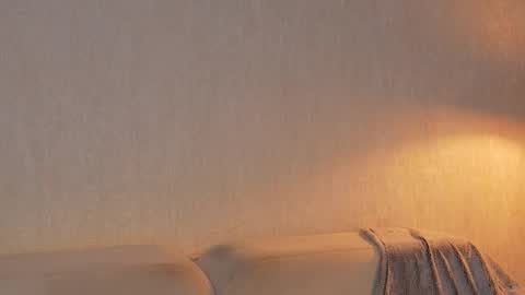       online show from 03/28/26, 01:22