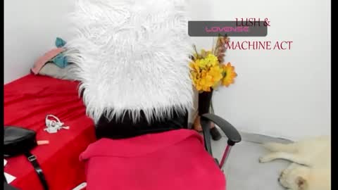 Snapshot of sarah_sweett chatting on 05/15/26, 05:42 Sarah online show from 05/15/26, 05:42