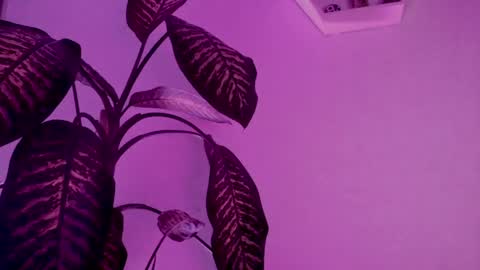 Saray  online show from 03/24/26, 04:17