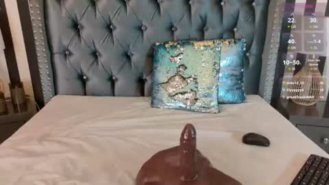 Snapshot of saripaulin chatting on 06/14/26, 02:41 SARY online show from 06/14/26, 02:41
