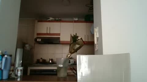sarita_start online show from 05/11/26, 03:40