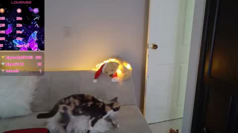 Saritha online show from 03/22/26, 02:09