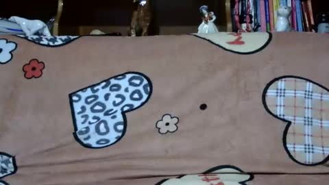 Snapshot of sarraella chatting on 12/02/24, 05:26 Sarra online show from 12/02/24, 05:26