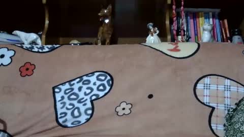 Snapshot of sarraella chatting on 12/07/24, 08:27 Sarra online show from 12/07/24, 08:27