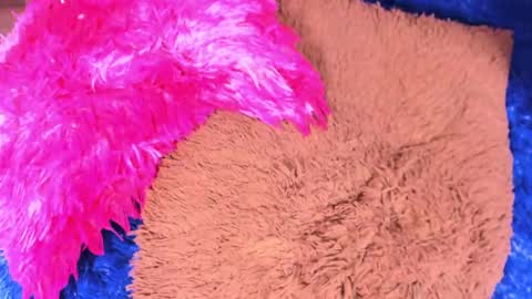 Sary  online show from 04/13/26, 11:27