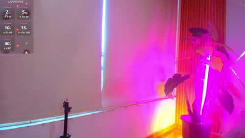 sasha_gracee_ online show from 04/08/26, 01:00