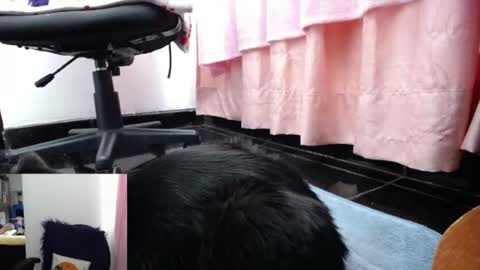 sasha start online show from 05/12/26, 12:02
