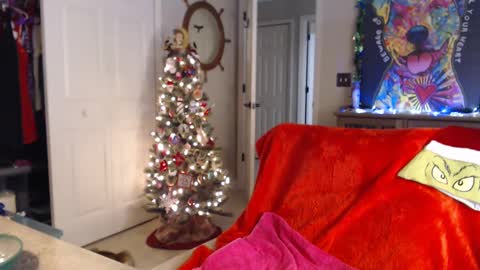 Snapshot of sassybeaver chatting on 01/01/25, 07:41 Trish online show from 01/01/25, 07:41