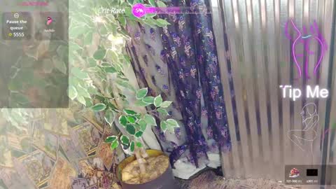 sassylatin45 online show from 01/12/25, 01:21