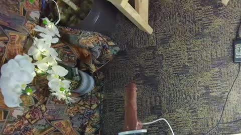 sassylatin45 online show from 03/02/25, 01:47