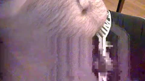 sato58264 online show from 05/18/26, 06:36