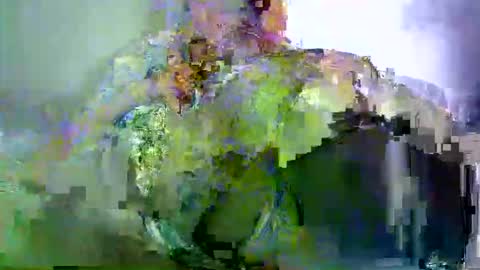 savagetonguee online show from 03/29/26, 03:28