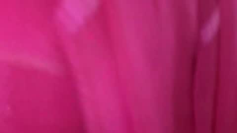 Anjali online show from 03/11/26, 05:02