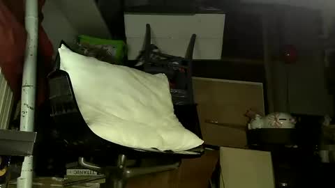 Sbamx online show from 12/17/24, 05:29